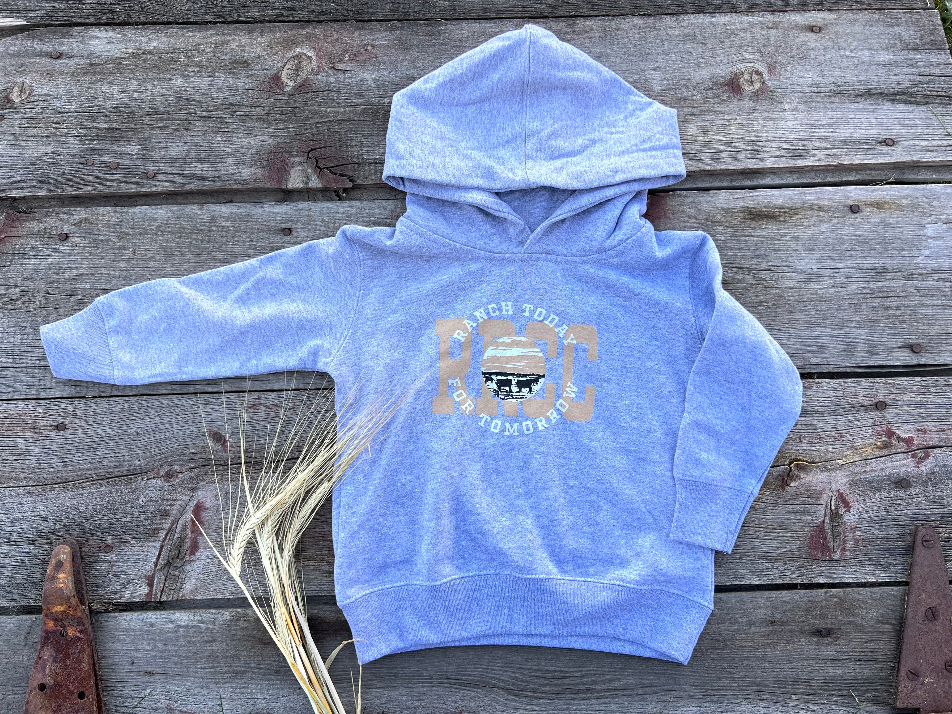 FW 23 Toddler Ranch Today For Tomorrow Hoodie – Ranch Raised